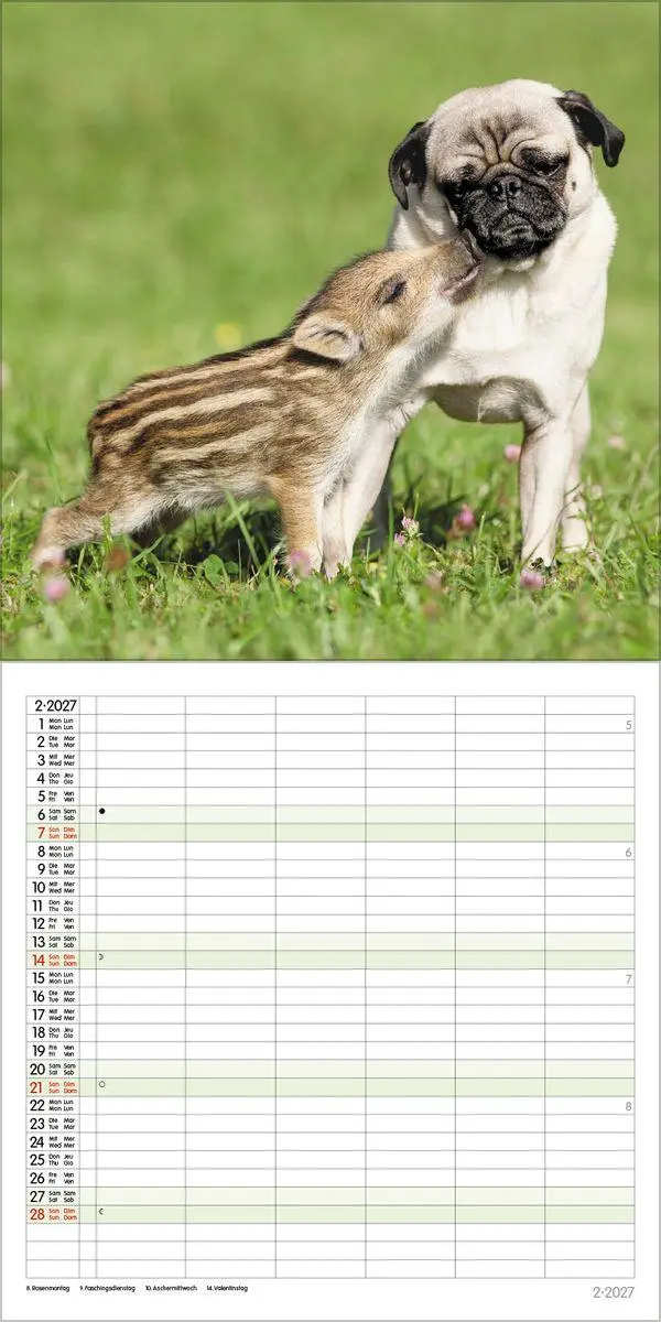 Bild: 9783819301360 | Tierfreundschaften - Familientimer 2027 | Verlag Korsch | Kalender