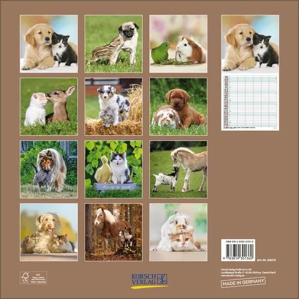 Bild: 9783819301360 | Tierfreundschaften - Familientimer 2027 | Verlag Korsch | Kalender
