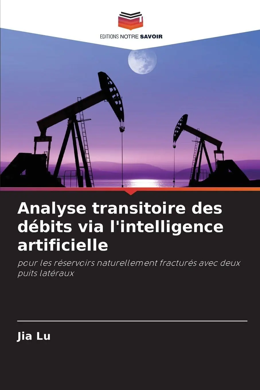 Analyse transitoire des débits via l'intelligence artificielle