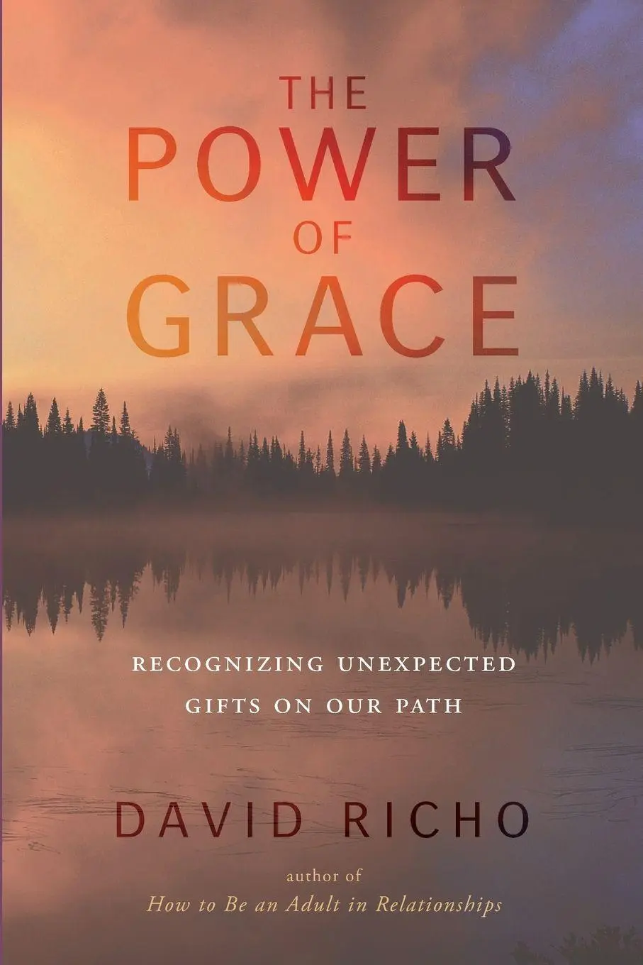 Cover: 9781611801460 | The Power of Grace | Recognizing Unexpected Gifts on Our Path | Richo
