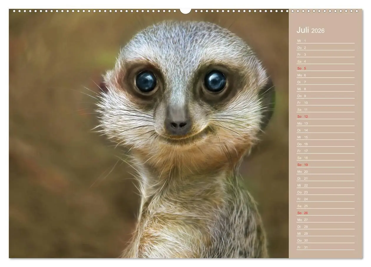 Bild: 9783516111460 | Süsse Tierwelt / CH-Version / Geburtstagskalender (hochwertiger...