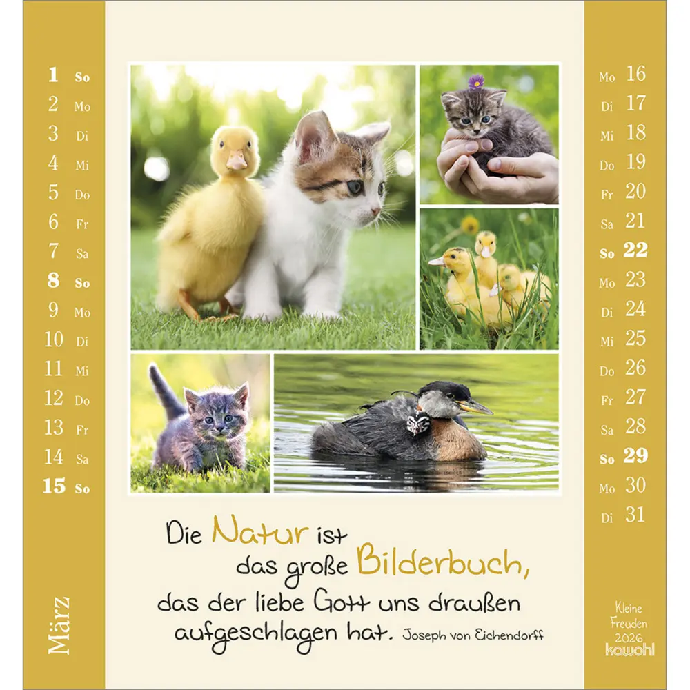 Bild: 9783754881460 | Kleine Freuden 2026 | Aufstell-Kalender mit Bildcollagen | Kalender