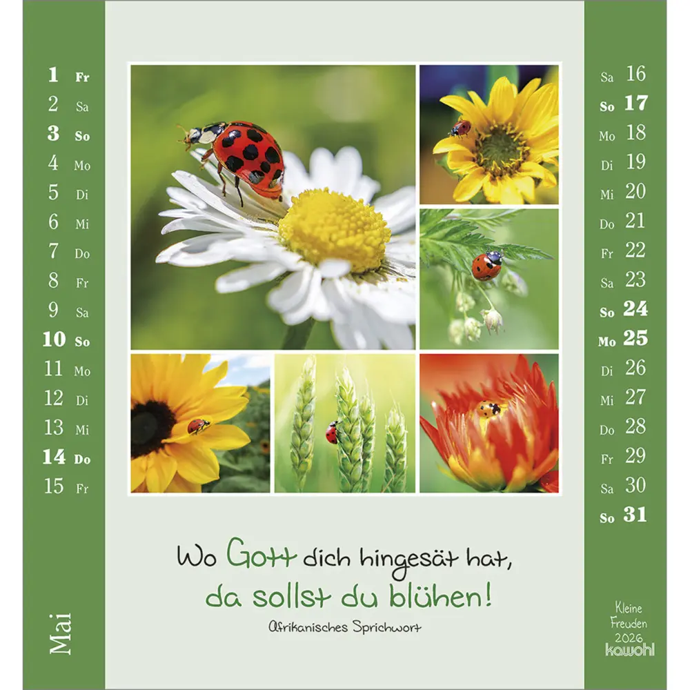 Bild: 9783754881460 | Kleine Freuden 2026 | Aufstell-Kalender mit Bildcollagen | Kalender