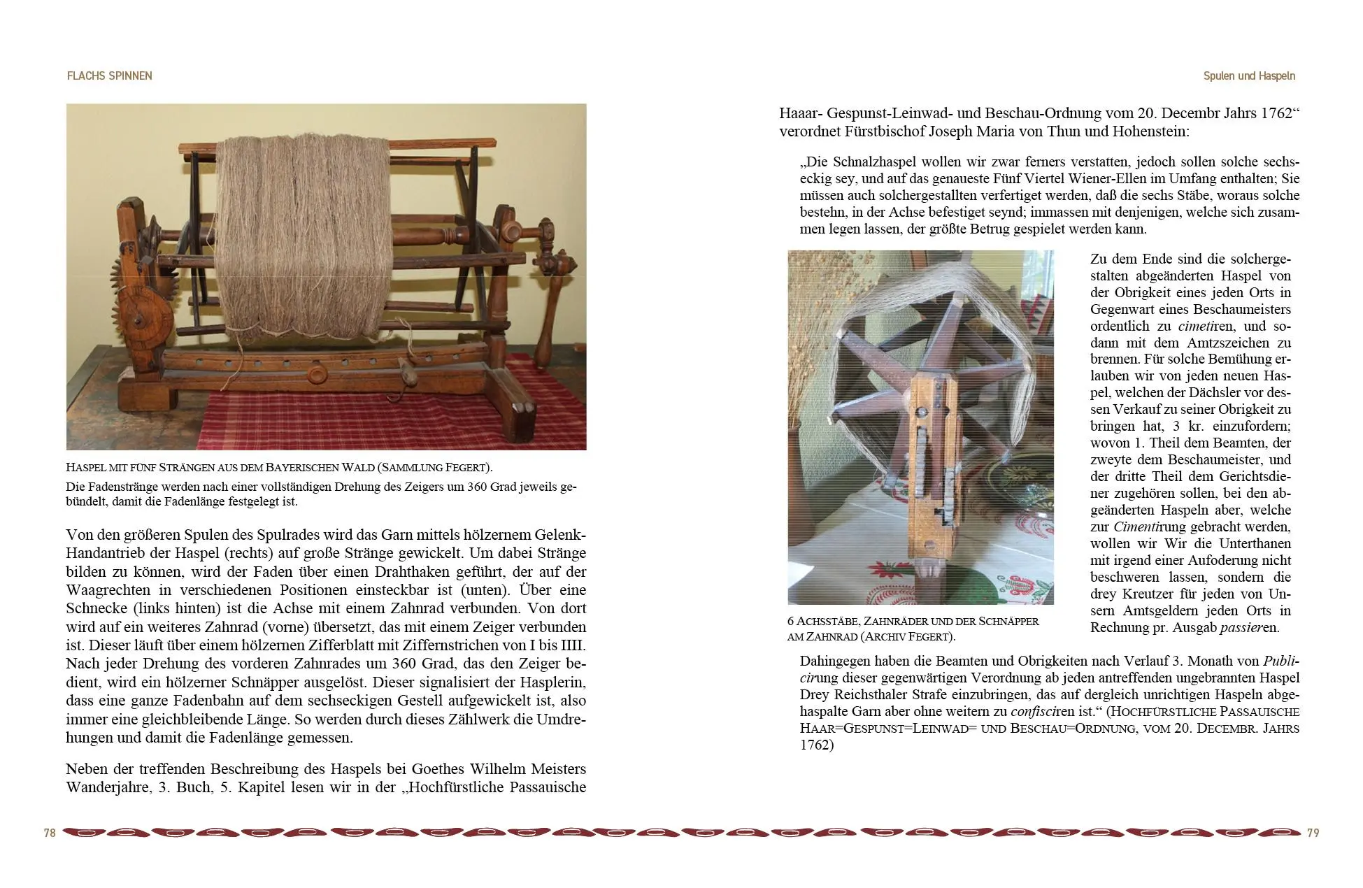 Bild: 9783947171460 | Spinnen und Weben, das ist ihr Leben | Friedemann Fegert | Taschenbuch