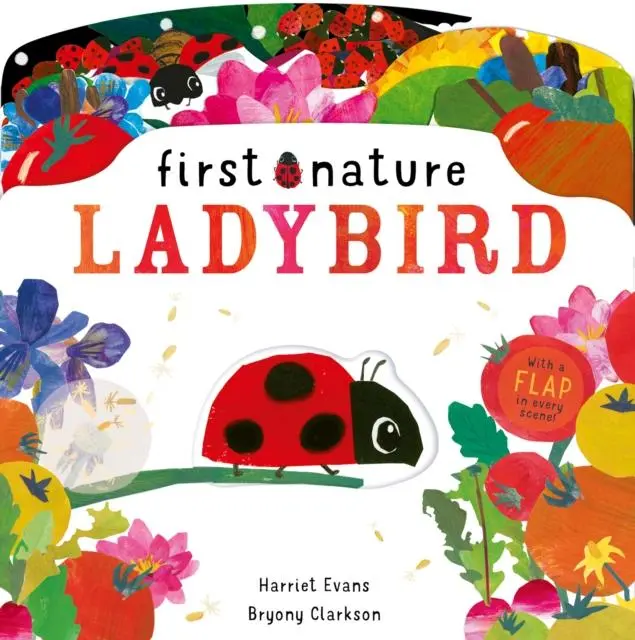 Cover: 9781838911560 | Ladybird | Harriet Evans | Buch | Gebunden | Englisch | 2021