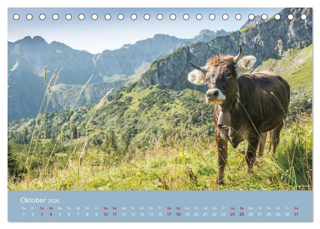 Bild: 9783457941560 | Heimweh Allgäu 2026 (Tischkalender 2026 DIN A5 quer), CALVENDO...
