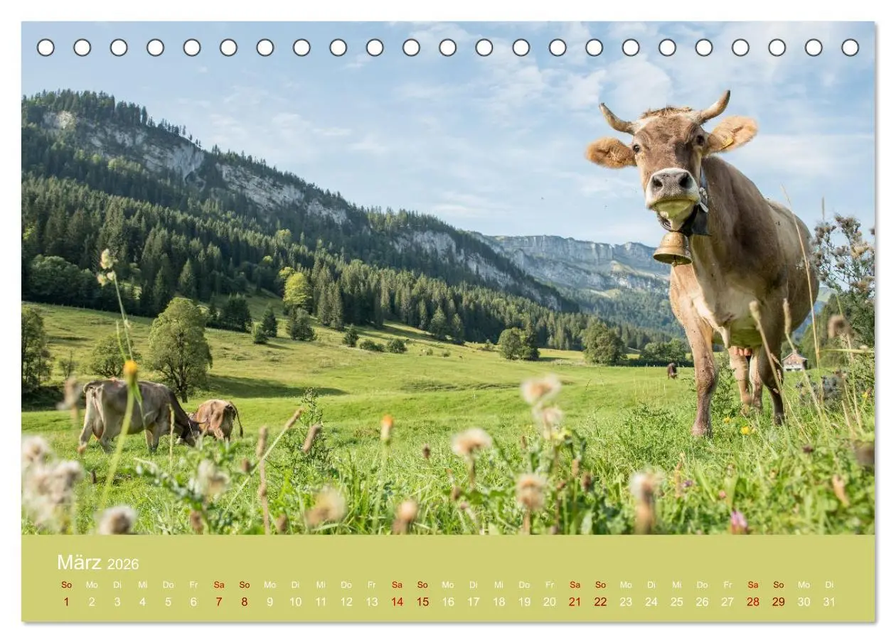 Bild: 9783457941560 | Heimweh Allgäu 2026 (Tischkalender 2026 DIN A5 quer), CALVENDO...