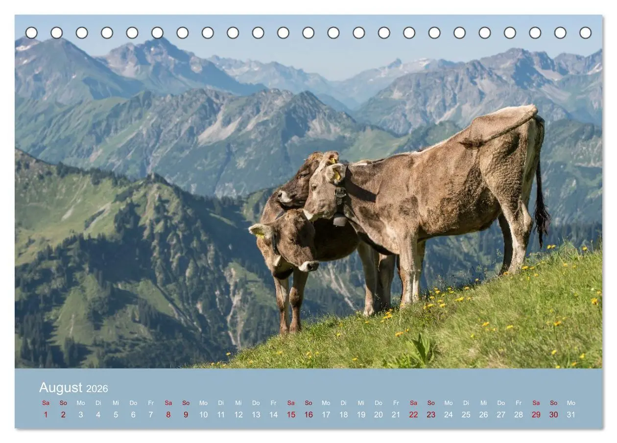 Bild: 9783457941560 | Heimweh Allgäu 2026 (Tischkalender 2026 DIN A5 quer), CALVENDO...
