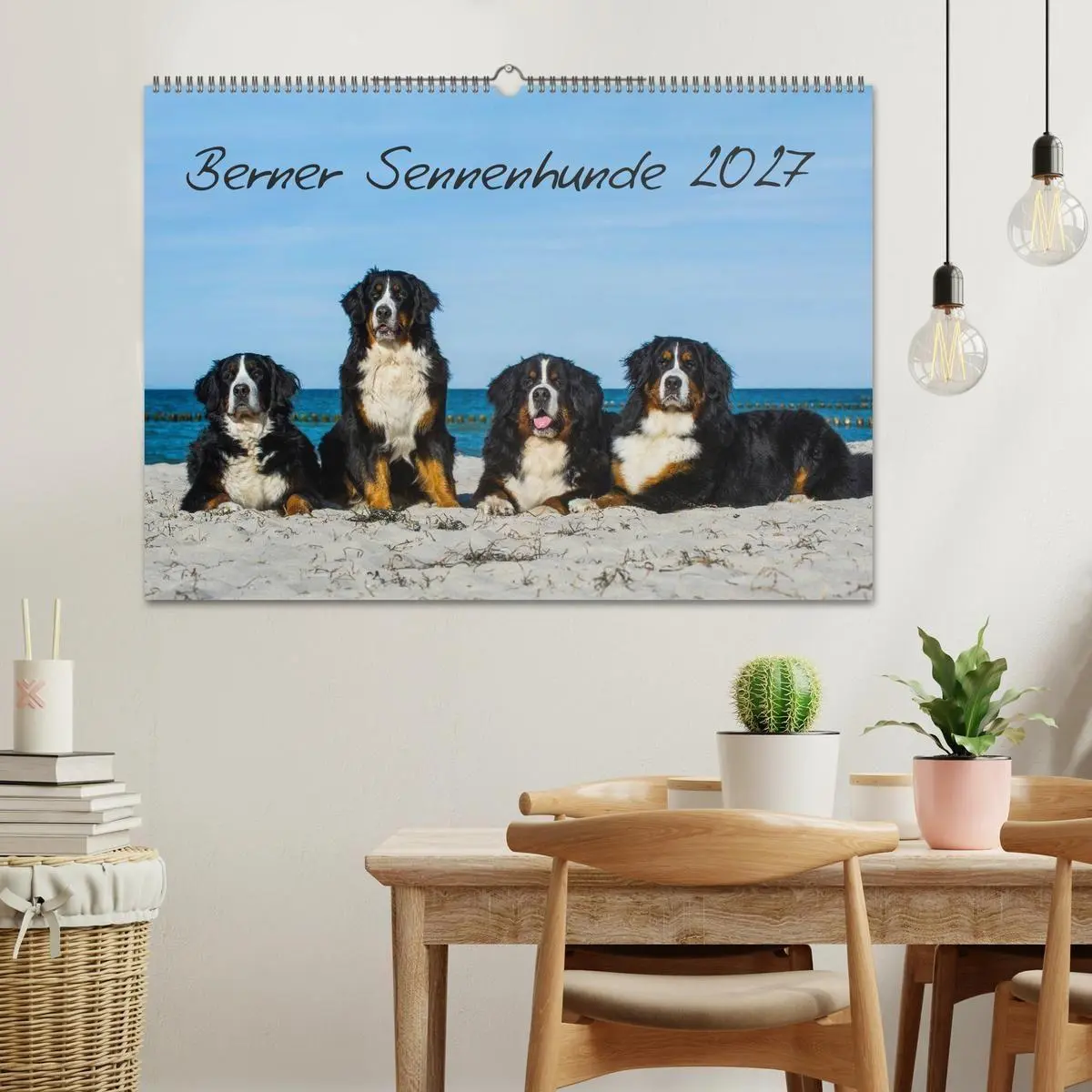 Bild: 9783594181560 | Berner Sennenhund 2027 (Wandkalender 2027 DIN A2 quer), CALVENDO...