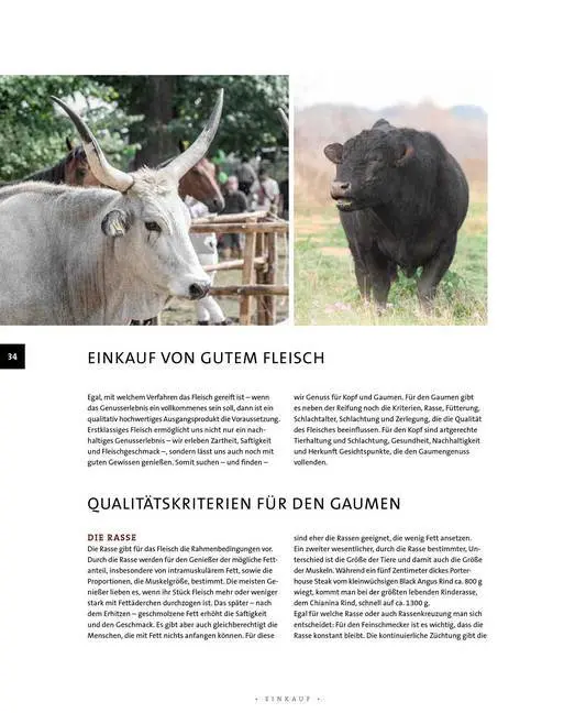 Bild: 9783958431560 | Dry Aged &amp; Co. | Premiumfleisch für Kenner | Tanja Eichhorn (u. a.)