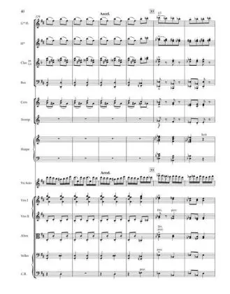 Bild: 9790006541560 | Tzigane, Konzertrhapsodie für Violine und Orchester, Partitur | Ravel