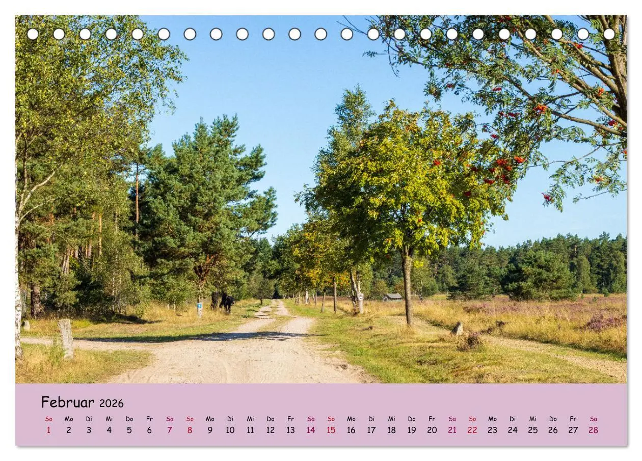 Bild: 9783457621660 | Lüneburger Heide Wege (Tischkalender 2026 DIN A5 quer), CALVENDO...