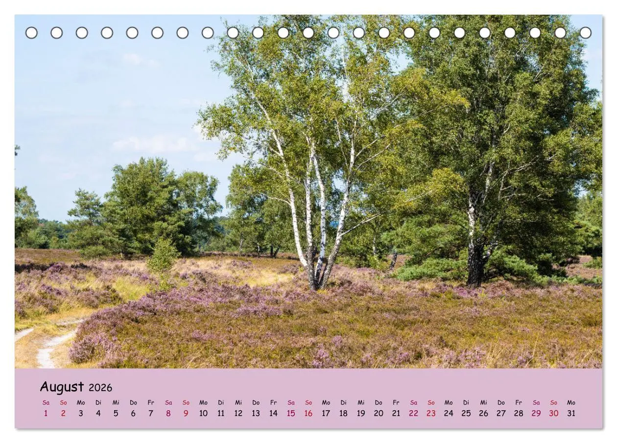 Bild: 9783457621660 | Lüneburger Heide Wege (Tischkalender 2026 DIN A5 quer), CALVENDO...