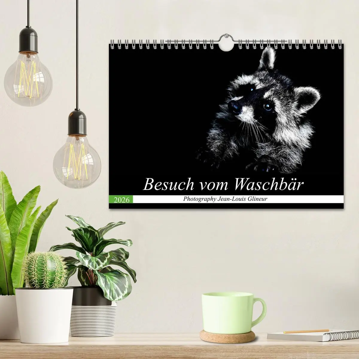 Bild: 9783457791660 | Besuch vom Waschbär (Wandkalender 2026 DIN A4 quer), CALVENDO...