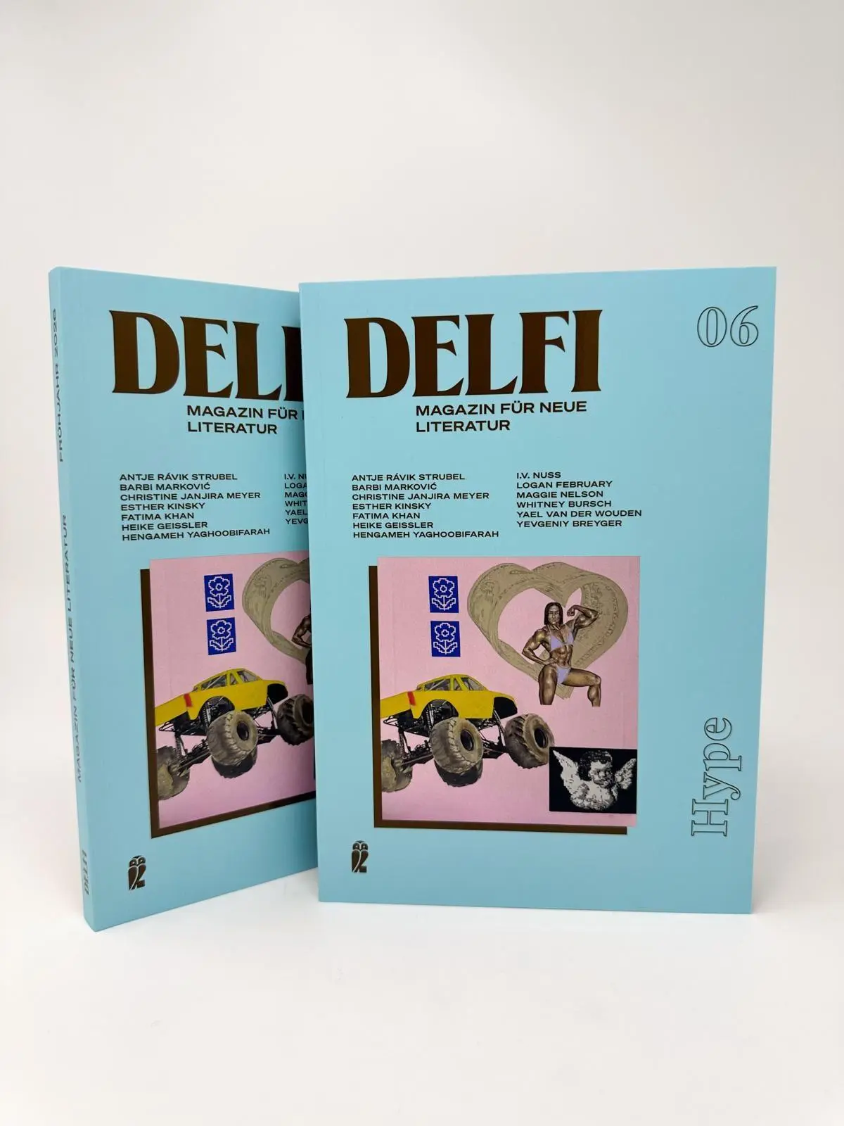 Bild: 9783546101660 | Delfi Hype | Fatma Aydemir (u. a.) | Taschenbuch | Delfi | 160 S.