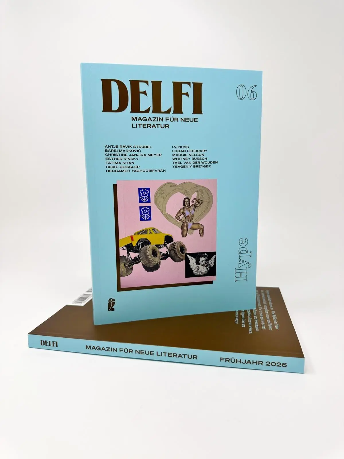 Bild: 9783546101660 | Delfi Hype | Fatma Aydemir (u. a.) | Taschenbuch | Delfi | 160 S.