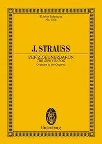 Cover: 9783795761660 | Der Zigeunerbaron | Johann Strauß | Buch | 48 S. | Deutsch | 1985
