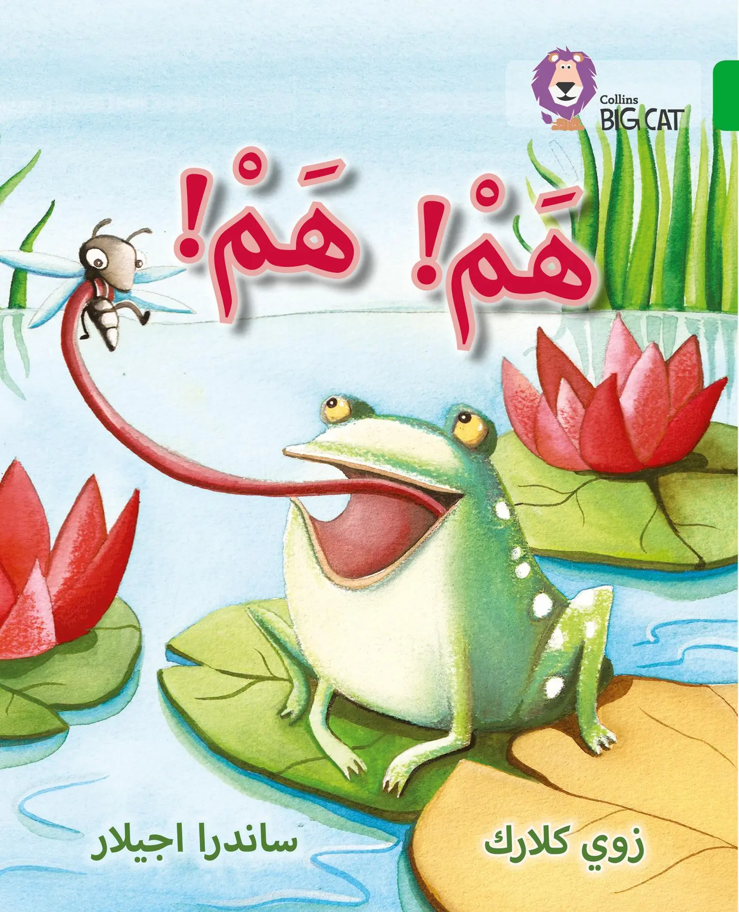 Cover: 9780008131760 | Hum Hum | Level 5 | Zoe Clarke | Taschenbuch | Kartoniert / Broschiert