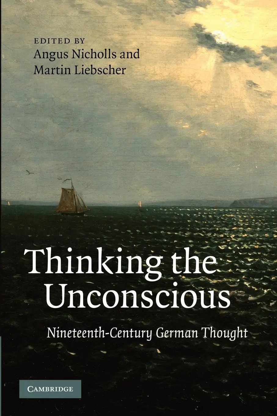 Cover: 9781107411760 | Thinking the Unconscious | Angus Nicholls (u. a.) | Taschenbuch | 2012