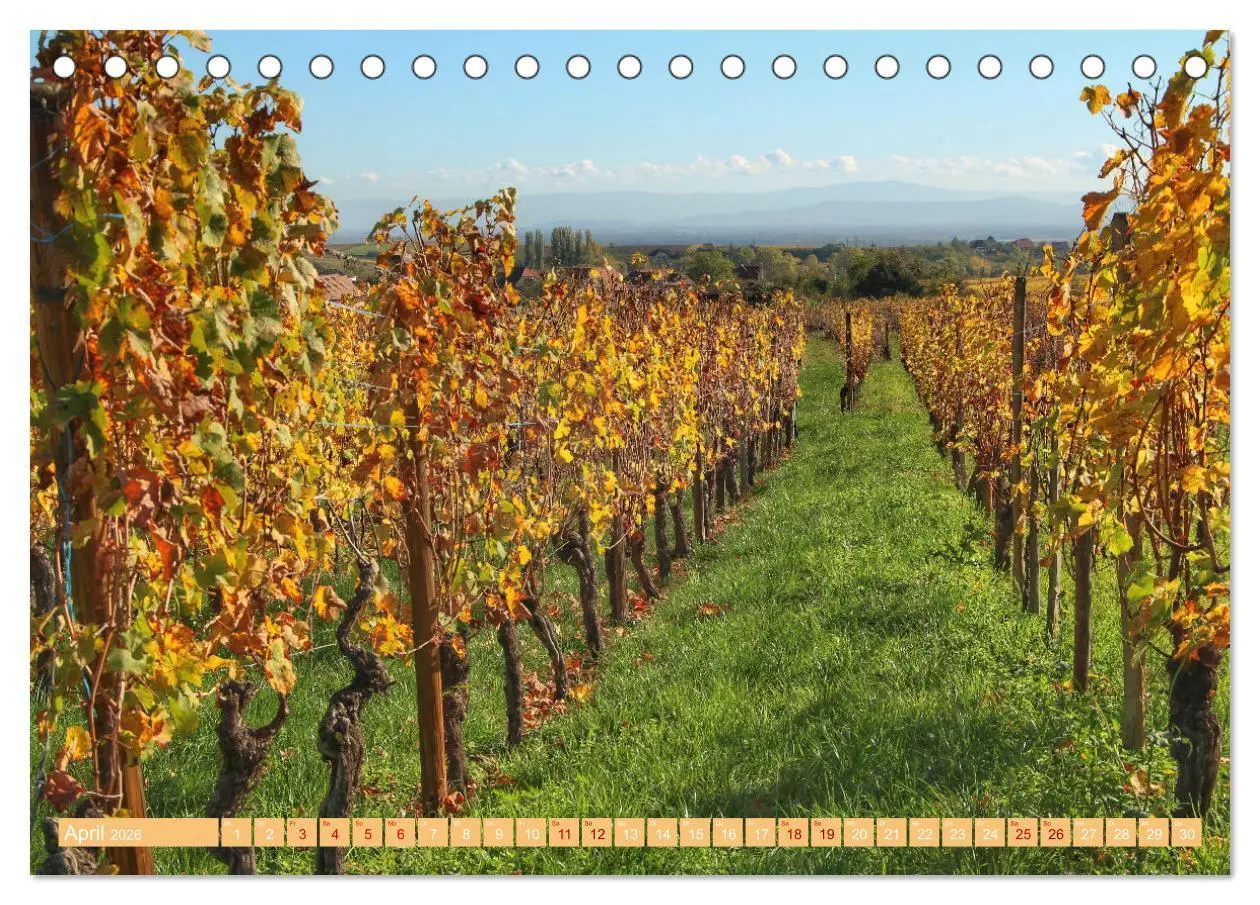 Bild: 9783457541760 | Das Elsass (Tischkalender 2026 DIN A5 quer), CALVENDO Monatskalender