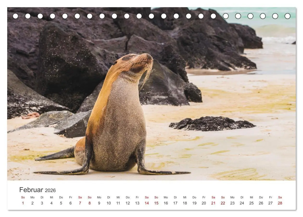 Bild: 9783457611760 | Ecuador - Unbeschreibliche Natur (Tischkalender 2026 DIN A5 quer),...