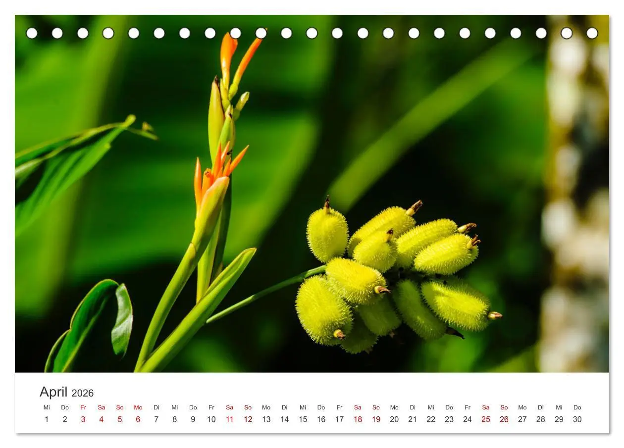 Bild: 9783457611760 | Ecuador - Unbeschreibliche Natur (Tischkalender 2026 DIN A5 quer),...