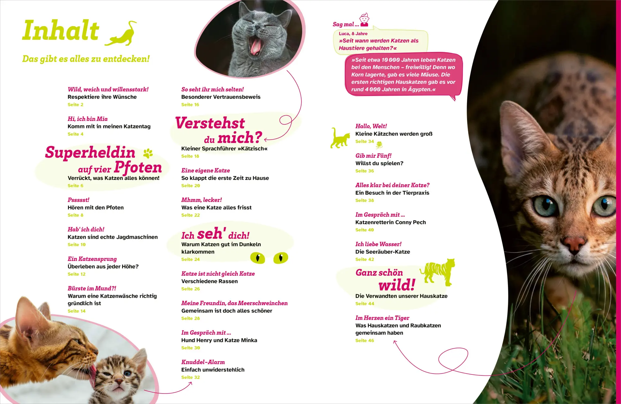 Bild: 9783788681760 | WAS IST WAS Katzen. Eigenwillige Schnurrer | Judith Weber | Buch
