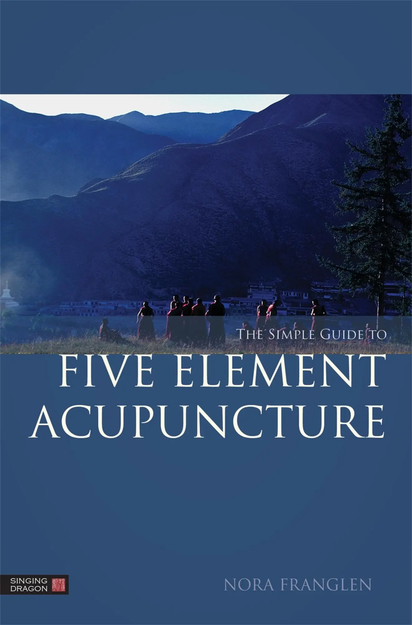 Cover: 9781848191860 | The Simple Guide to Five Element Acupuncture | Nora Franglen | Buch
