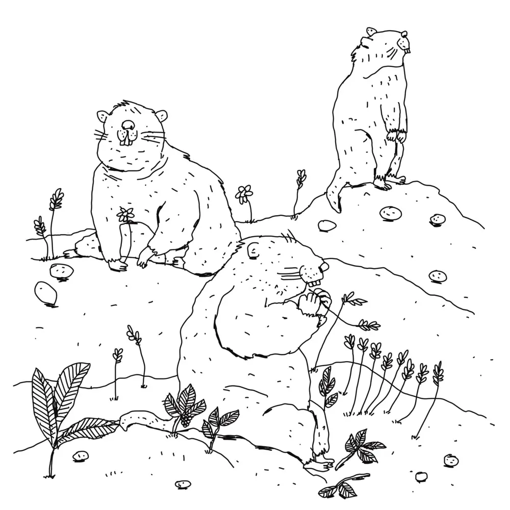 Bild: 9783038691860 | The Swiss Colouring Book | Malbuch - Livre Coloriage | Olivia Hadorn