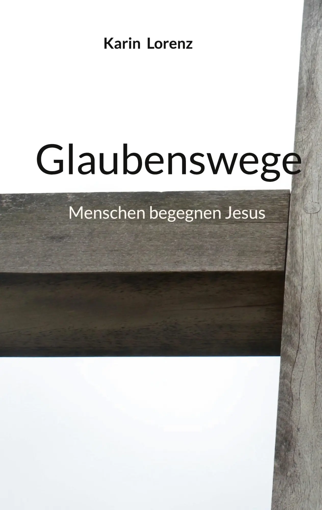 Cover: 9783695131860 | Glaubenswege | Menschen begegnen Jesus | Karin Lorenz | Taschenbuch