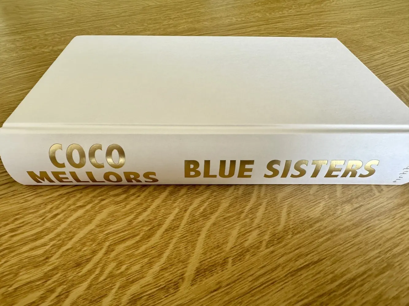 Bild: 9783847901860 | Blue Sisters | Coco Mellors | Buch | 448 S. | Deutsch | 2024