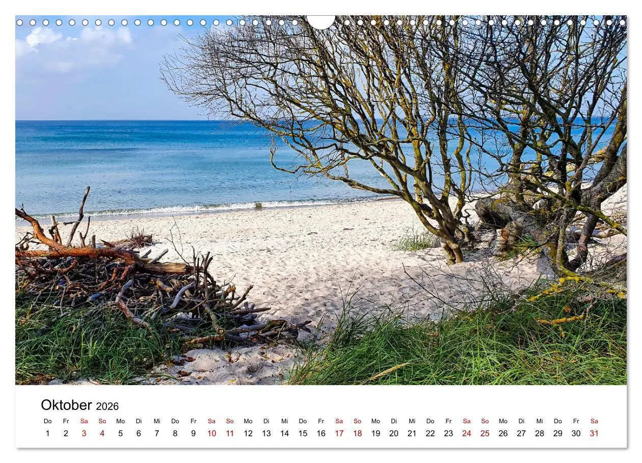 Bild: 9783457521960 | Fischland-Darß-Zingst - Traumhafte Ostseelandschaften (Wandkalender...