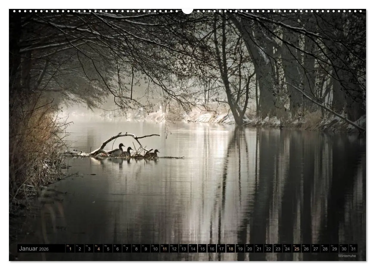 Bild: 9783516091960 | Traumlandschaften 2026 (hochwertiger Premium Wandkalender 2026 DIN...
