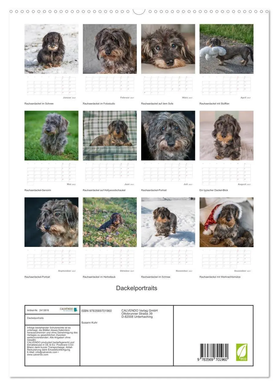 Bild: 9783569701960 | Dackelportraits (hochwertiger Premium Wandkalender 2027 DIN A2...