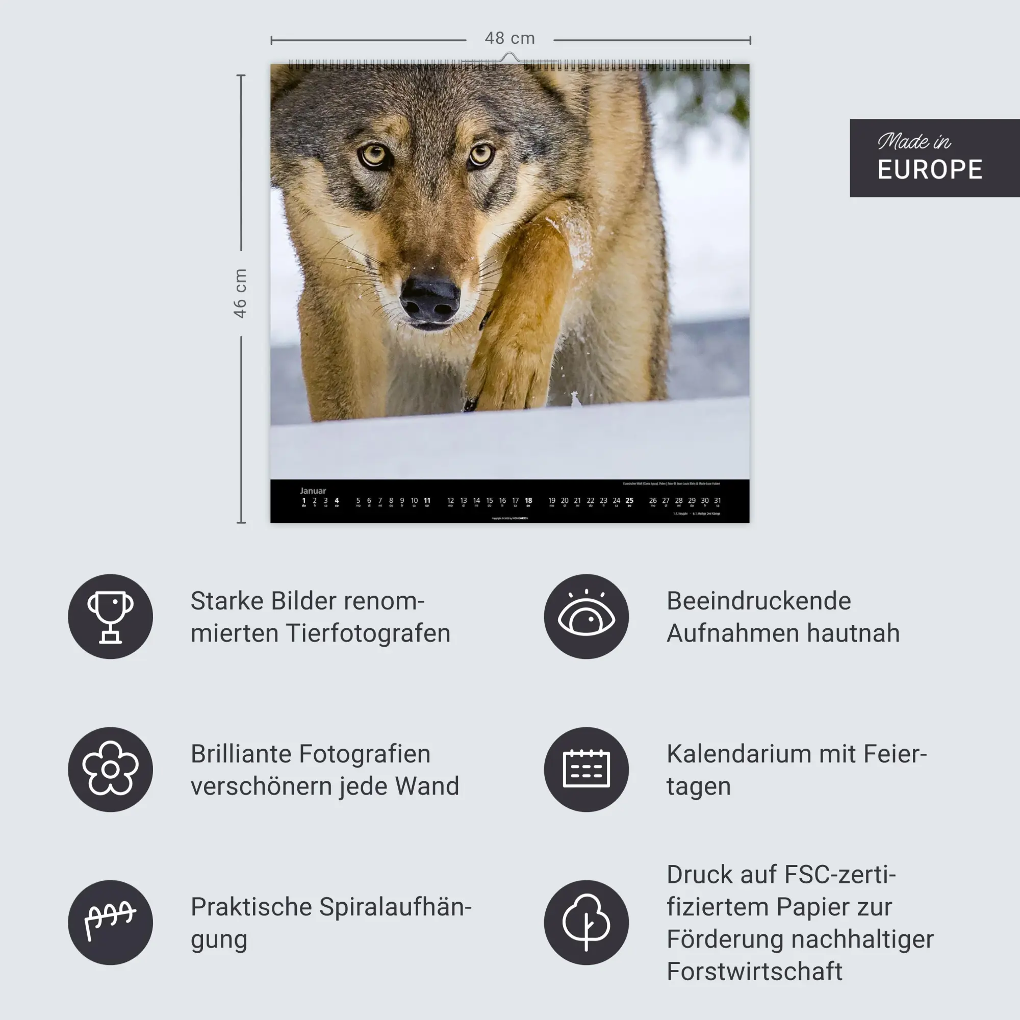 Bild: 9783839901960 | Wölfe Kalender 2026 | Marie-Luce Hubert | Kalender | Spiralbindung