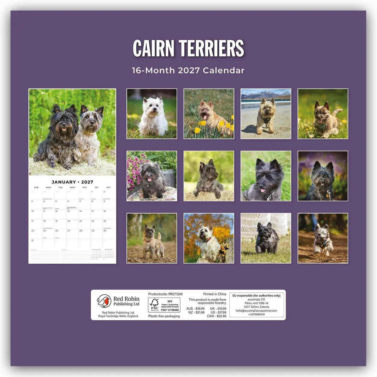 Rückseite: 9781837012060 | Cairn Terriers - Cairn Terrier 2027 - 16-Monatskalender | Robin Red