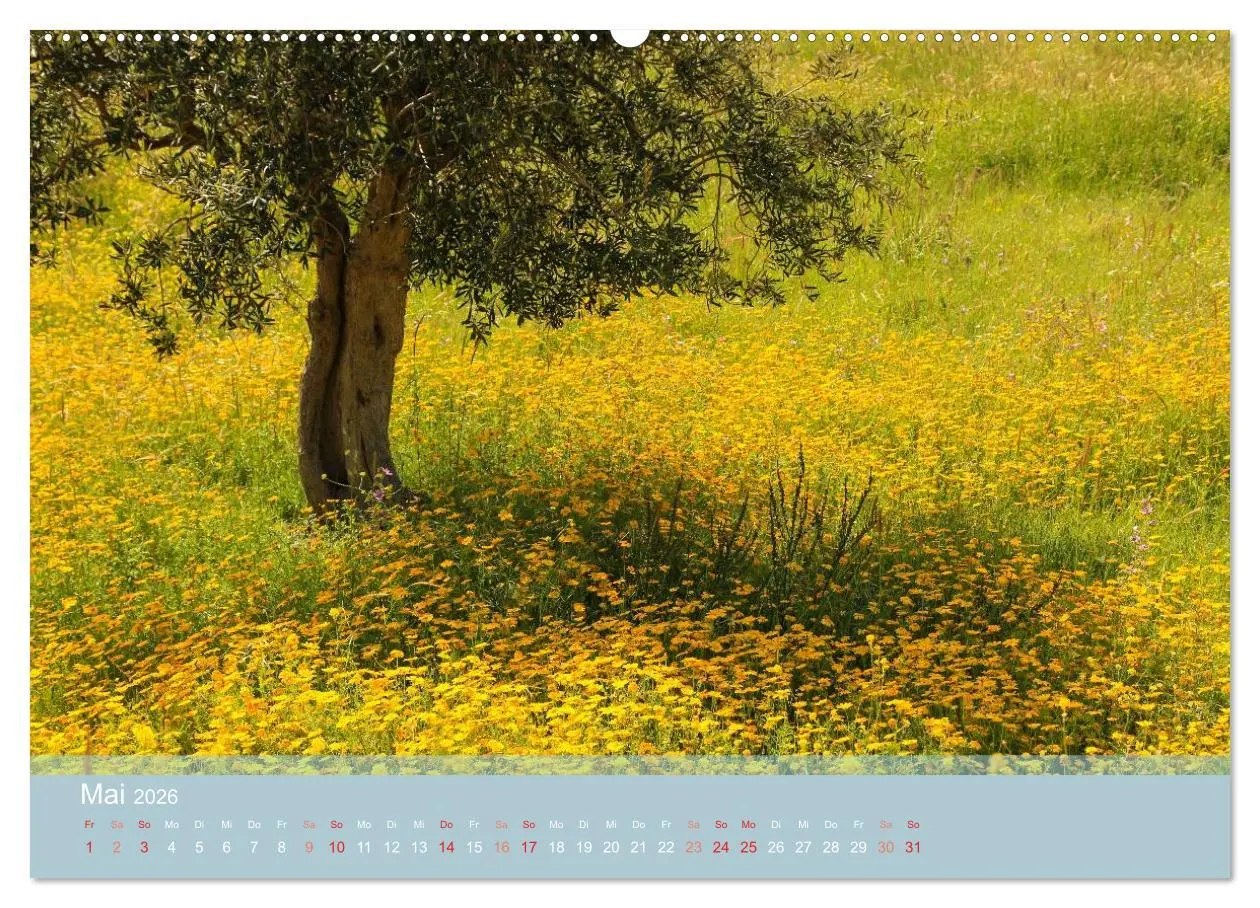 Bild: 9783516122060 | Lesbos - Inselimpressionen (hochwertiger Premium Wandkalender 2026...