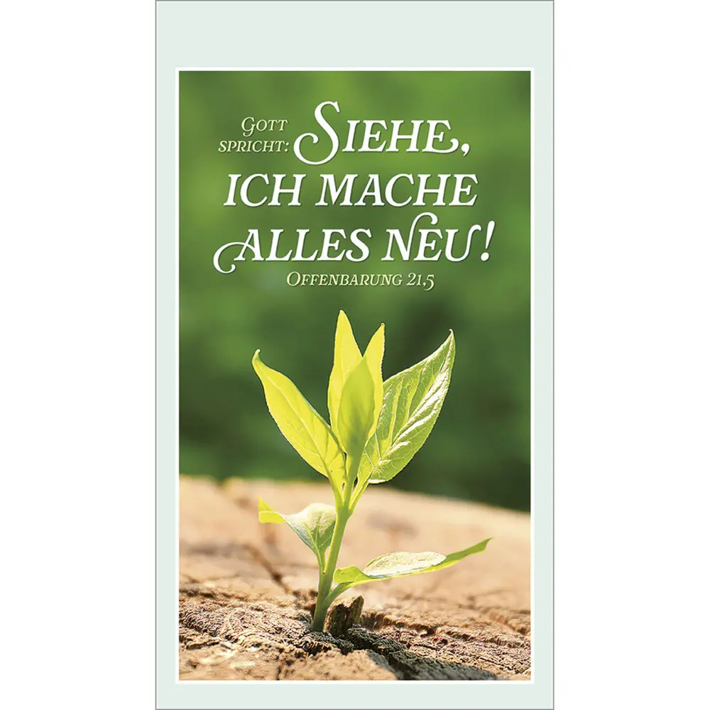 Bild: 9783754892060 | Sonne des Lebens 2026 | Mini-Kalender mit Bibelworten und Farbfotos