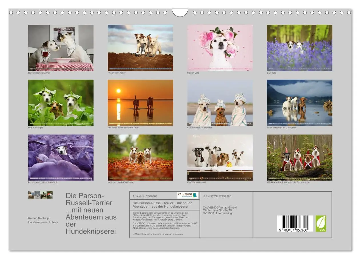 Bild: 9783457952160 | Die Parson-Russell-Terrier ...mit neuen Abenteuern aus der...