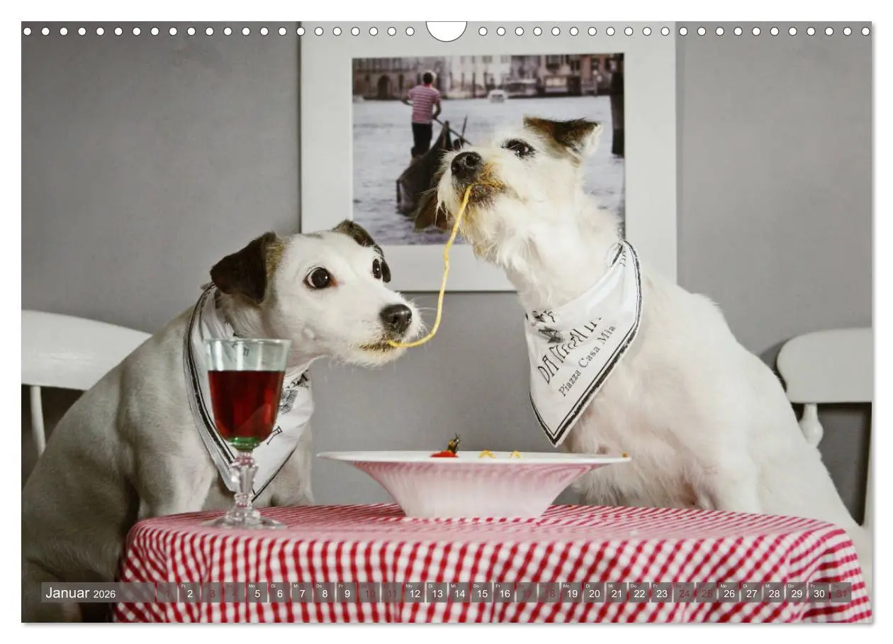 Bild: 9783457952160 | Die Parson-Russell-Terrier ...mit neuen Abenteuern aus der...