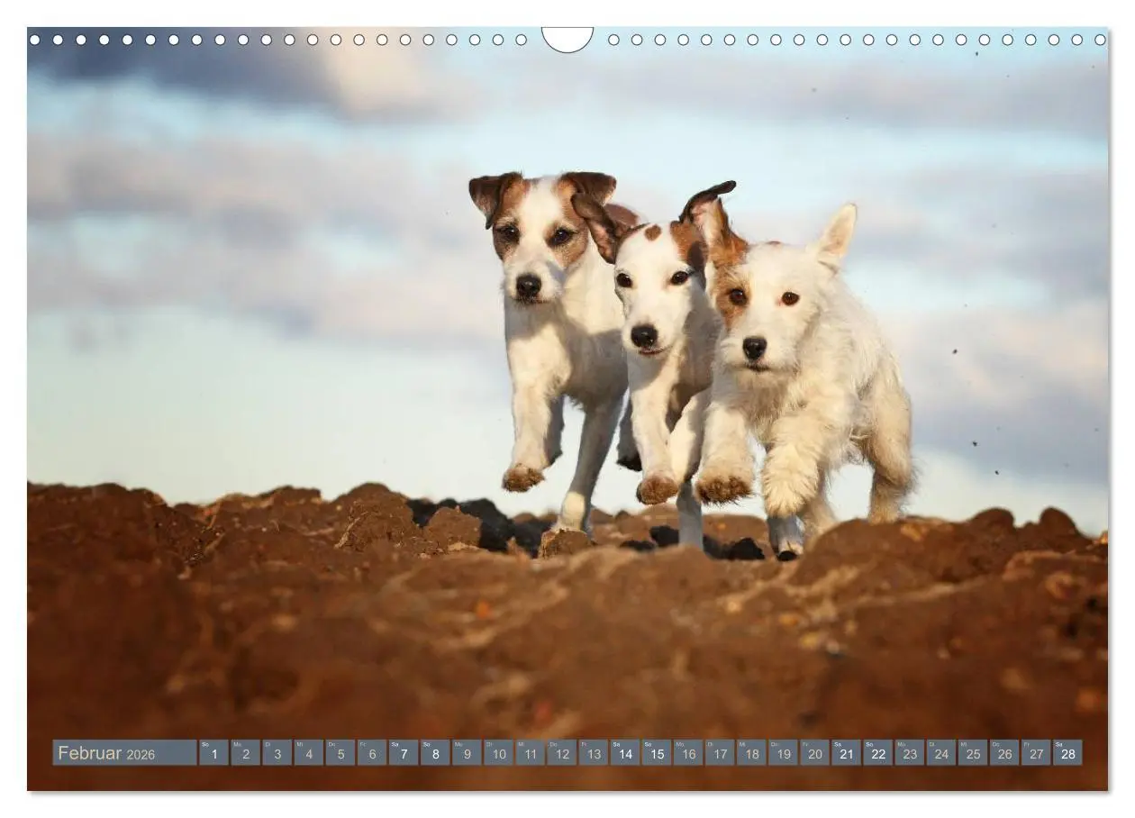 Bild: 9783457952160 | Die Parson-Russell-Terrier ...mit neuen Abenteuern aus der...