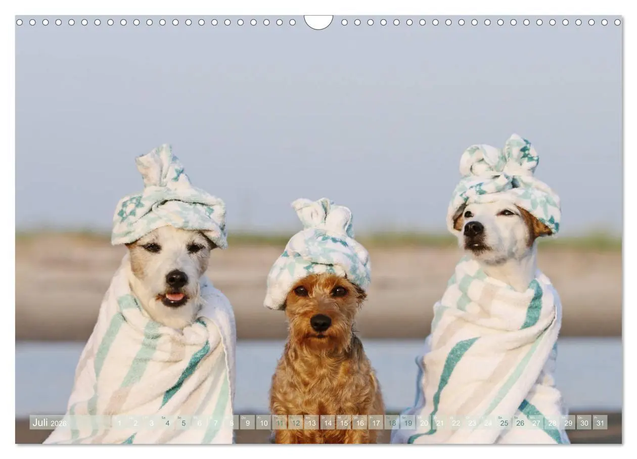 Bild: 9783457952160 | Die Parson-Russell-Terrier ...mit neuen Abenteuern aus der...