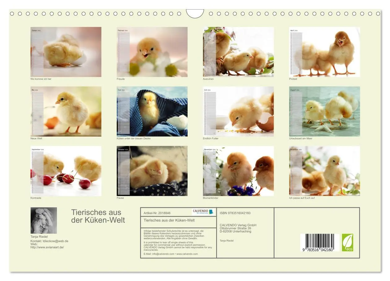 Bild: 9783516042160 | Tierisches aus der Küken-Welt (Wandkalender 2026 DIN A3 quer),...