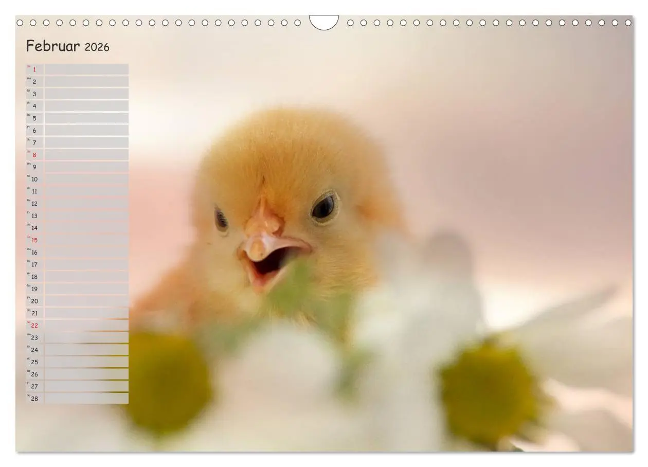 Bild: 9783516042160 | Tierisches aus der Küken-Welt (Wandkalender 2026 DIN A3 quer),...