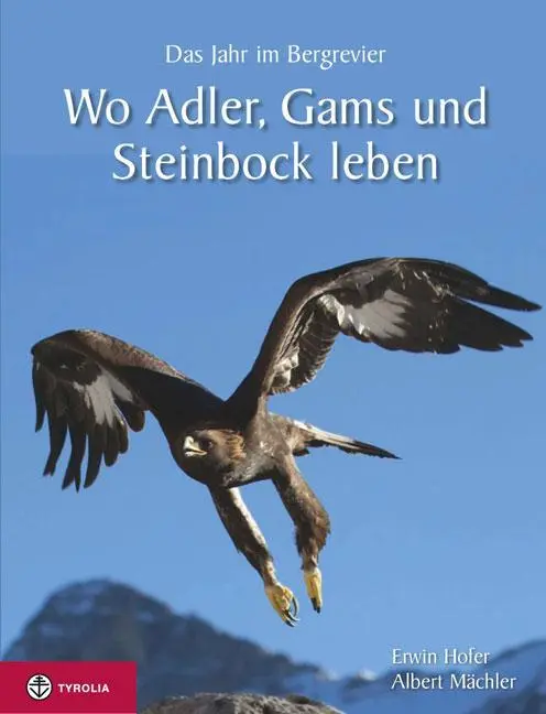 Cover: 9783702232160 | Wo Adler, Gams und Steinbock leben | Erwin/Mächler, Albert Hofer