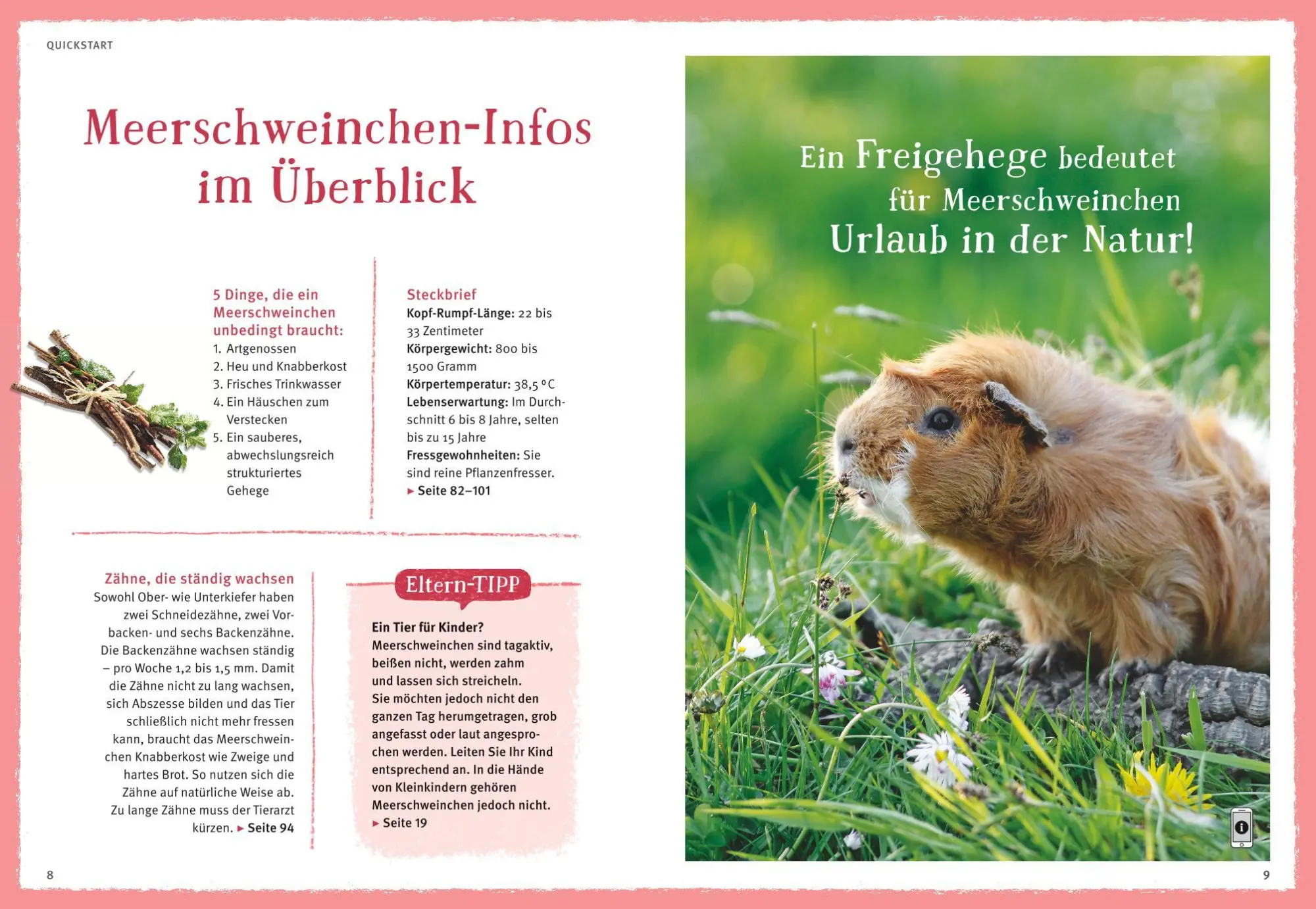 Bild: 9783833842160 | Neugierige Meerschweinchen | Immanuel Birmelin | Taschenbuch | 144 S.