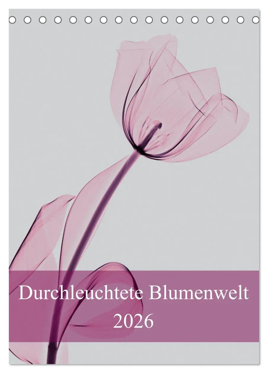 Cover: 9783516342260 | Durchleuchtete Blumenwelt 2026 (Tischkalender 2026 DIN A5 hoch),...