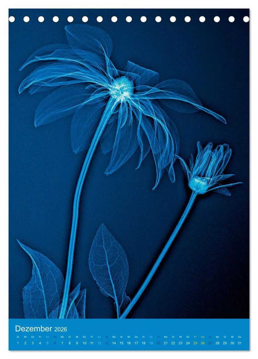Bild: 9783516342260 | Durchleuchtete Blumenwelt 2026 (Tischkalender 2026 DIN A5 hoch),...