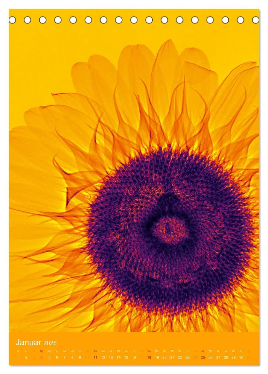 Bild: 9783516342260 | Durchleuchtete Blumenwelt 2026 (Tischkalender 2026 DIN A5 hoch),...