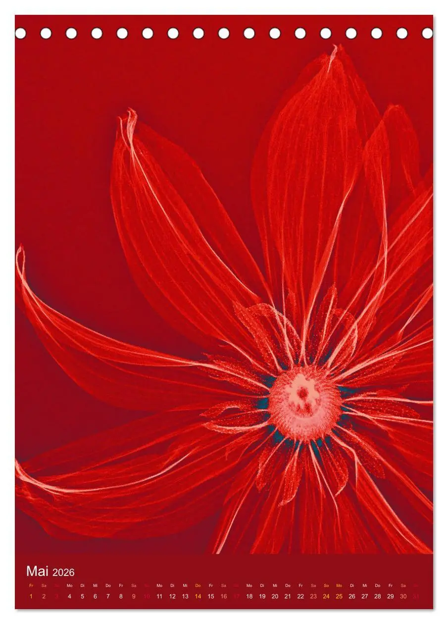 Bild: 9783516342260 | Durchleuchtete Blumenwelt 2026 (Tischkalender 2026 DIN A5 hoch),...